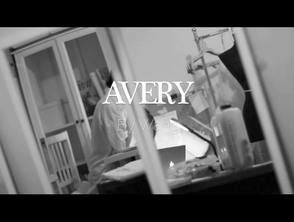 StartUp FASHION BreakThrough DESIGNER Label: AVERY